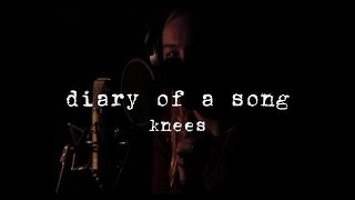 diary of a song  knees [upl. by Nae]