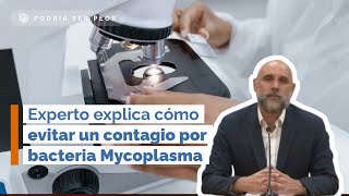 Experto explica cómo evitar un contagio por bacteria Mycoplasma Minsal alerta por aumento de casos [upl. by Yrret]