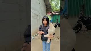 Labubu nempel mulu shortvideo comedy [upl. by Waylon]