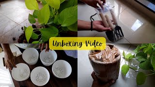 Living Alone Diaries Aesthetic Haul amp Simple Joys  Mindful Moments  Plants and Pots Unboxing🌿✨ [upl. by Odlauso510]