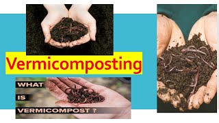 Vermicomposting Process Step by Step [upl. by Assiralc446]