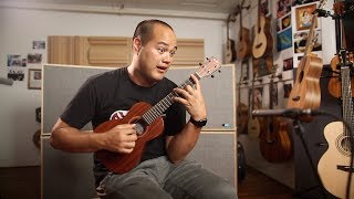 The Ukulele Review V199 High G Low G Nylon Fluorocarbon Strings [upl. by Ihsar106]