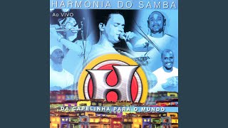 Vem Sambar  Pagode Safado  De Descer Ao Vivo [upl. by Howard]