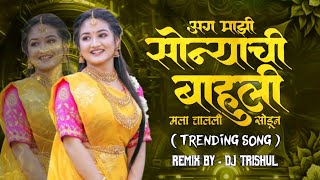 Chimni Mazi Udun Geli  चिमणी माझी उडून गेली  MARATHI DJ SONG Remix ByDj Trishul [upl. by Sinnej]