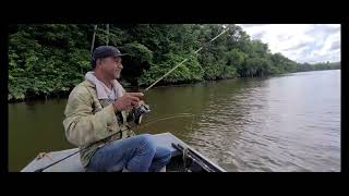 LAARWIJK  SURINAM RIVER  KOEBI HUNTING [upl. by Annej]