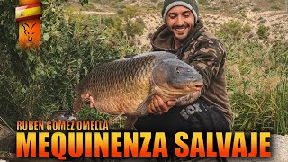 MEQUINENZA SALVAJE FOX CARPFISHING TV [upl. by Slack]