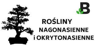 Rośliny NAGONASIENNE i OKRYTONASIENNE  ROŚLINY KOREPETYCJE z BIOLOGII  287 [upl. by Demmer604]