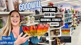 THE TOUR CONTINUES THRIFTING OVER 50 GOODWILL THRIFT STORES Thrift With Me Episode 2 [upl. by Salaidh]