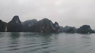 Halong bay Vietnam tour 13th March 2024 [upl. by Mallorie404]