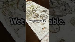 I found a wet dirty table Video of the preparation to dry soon on my channel [upl. by Whang]