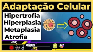 Adaptações celulares Hipertrofia Hiperplasia Atrofia Metaplasia Atualizado [upl. by Nylarak412]