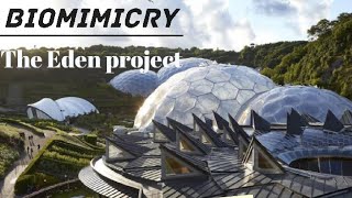 The Eden projectBiomimicry sustainability sustainable architecture architecturedesign [upl. by Elletnohs]