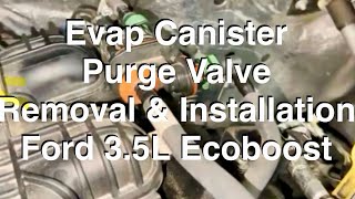 Evap Canister Purge Valve Removal amp Installation Ford 35L Ecoboost [upl. by Ramak]