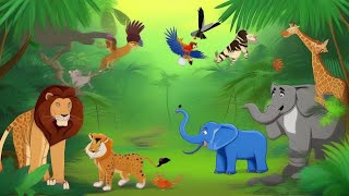 Animals Court Poem for kids  English poem for baby  Kids songs [upl. by Paquito735]