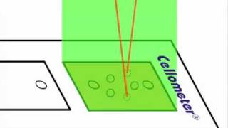 How Dualfluorescent AOPI Assays Work for Cell Concentration and Viability [upl. by Oneil]