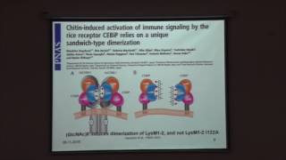 Transglycosylation by bacterial chitinases [upl. by Jacobine]