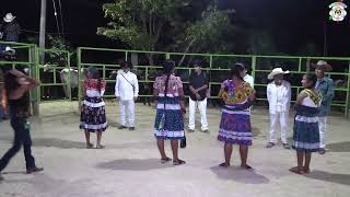 TORNEO DE TOROS COLONIA VISTA HERMOSA CERRO DEL AIRE NOPALA [upl. by Ecinad]