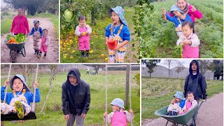 Watch Us Pluck Fresh Vegetables and fruits from Garden  is this our garden  Apple farm [upl. by Serrano]