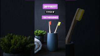 Different Types of Toothbrushes [upl. by Avon]