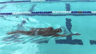 Backstroke side kicking progression [upl. by Naawaj]