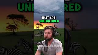 Are Pterodactyls Really Extinct 👀  JRE featuring Forrest Galante [upl. by Annoed32]