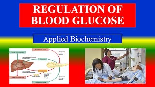 REGULATION OF BLOOD GLUCOSE  Applied Biochemistry for nursing [upl. by Esyla]