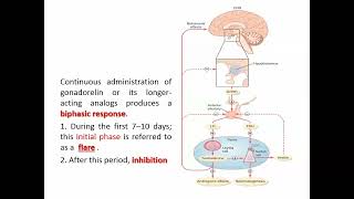 pharmacology prostate 2  w4 gut [upl. by Cote29]