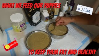 How We Feed Our Puppies To Maintain A Healthy Weight [upl. by Nois]