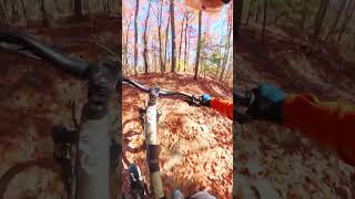 Leaf Surfing Down Clyde Frog 🐸  Rhode Island MTB shorts [upl. by Elocel305]