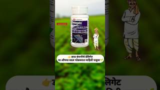 डेलिगेट Dow Delegate Insecticide  Dow AgroSciences  Spinetoram 117 SC  delegate agriculture [upl. by Alil938]