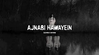 Ajnabi Hawayein  Slowed X Reverb  TSeries Lofi song  Horror sad Hindi song [upl. by Greenman]