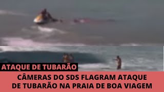 Ataque Real De Tubarão Na Praia De Boa Viagem Recife [upl. by Aiciram]