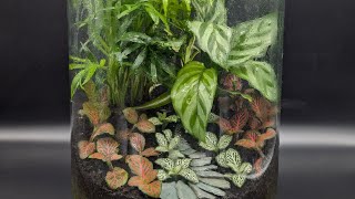 Relax with terrariums  part 1 [upl. by Leafar654]