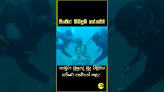 ජීවිත අවදානම නොතකා බුදු පිළිමය නිසි ලෙස සකස් කළ කිමිදුම්කරුවෝ [upl. by Tana]