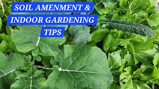 Revamp Indoor Garden Easy Soil Amendments amp Tips [upl. by Iolande]