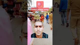 Some papdi song funny holi minivlog emotional comedyvideo shorts new funny viralshort cute [upl. by Yelrahc893]