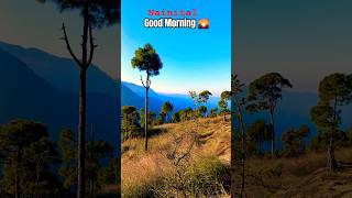 Pangot Nainital Good Morning 🌞 view travel uttarakhand nainital shortsvideo nature hills [upl. by Nerac]