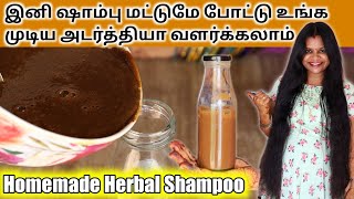 இனி ஷாம்பு மட்டுமே போட்டு உங்க முடிய அடர்த்தியா வளர்க்கலாம் Homemade Herbal Shampoo Jegathees meena [upl. by Finny]