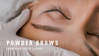 Powder Brows Tutorial  Color Boost After 18 months [upl. by Whetstone157]