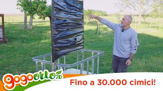 Questa trappola cattura fino a 30000 CIMICI Installazione Serbios Totem Trap [upl. by Fachanan224]