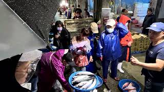 Traditional Seafood auction seafood fish marketing Keelung fishmarket [upl. by Atekin]