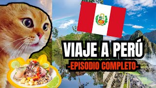 VIAJE A PERÚ  episodio completo meme de gatos [upl. by Kempe]