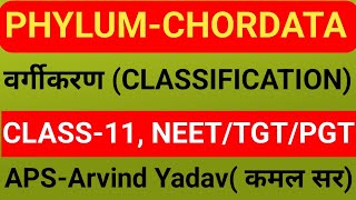 Classification of phylum chordata chordata  chordata by arvind sir Urochordata [upl. by Yessak]