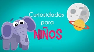 Curiosidades para niños  PILOS [upl. by Otrebron913]