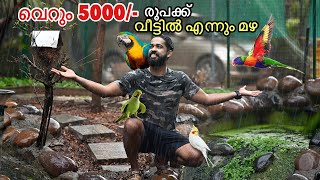 💥കൊടും വേനലിൽ ഞങ്ങൾ വീട്ടിൽ 5000 രൂപക്ക് മഴ പെയ്യിച്ചു  Made cheap artificial RAIN for birds [upl. by Eniluj180]