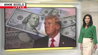 Dollar rallies as investors bet on Trump policiesーNHK WORLDJAPAN NEWS [upl. by Pennebaker727]