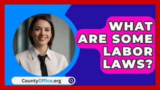 What Are Some Labor Laws  CountyOfficeorg [upl. by Marek428]