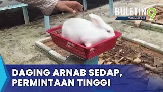 Penternakan Arnab Beri Pendapatan Sampingan Lumayan [upl. by Smailliw260]