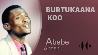 Abebe Abeshu Burtukaana koo  Oromo Music [upl. by Irakab875]