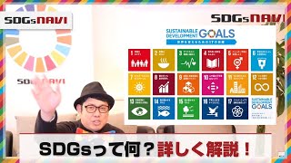 SDGsとは？17の目標って何？？詳しく解説しちゃいます。 [upl. by Hgieliak767]